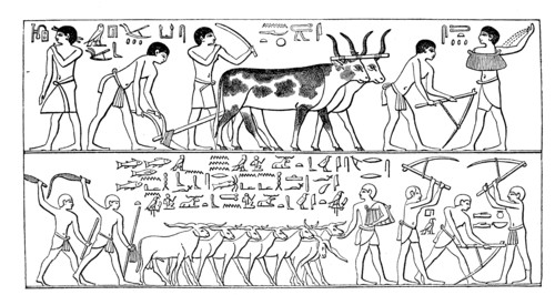 Cultural history of ancient Egypt