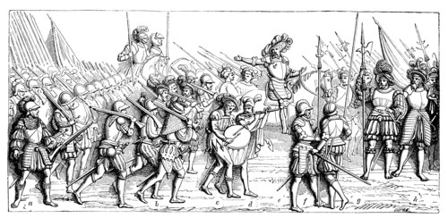 The troops of Francis I of France