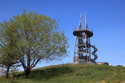 World signposts