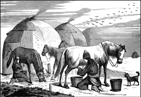 Woman farmer from Kyrgyzstan