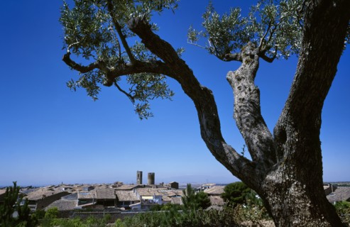General view of the village, Spain, Verdu