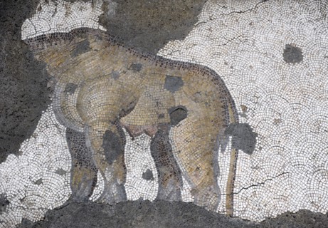Great Palace of Constantinople, Lioness and cubs