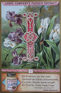 picture series plants and poems