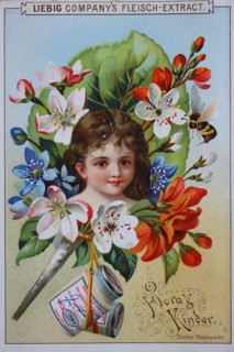Photo series Flora's children