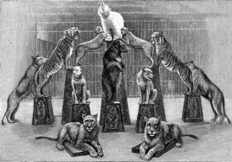 tamed predators from the Hagenbeck circus