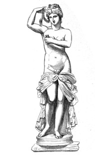 Venus Anadyomene