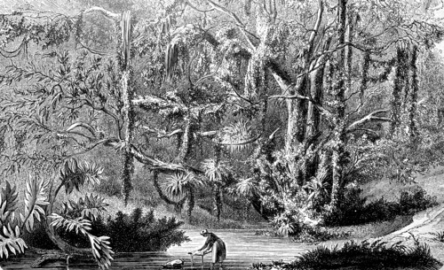 Fishermen in the jungle of Brazil in 1880  /  Fischer im Urwald von Brasilien im Jahre 1880
