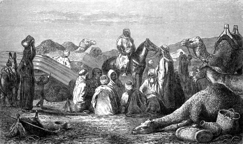 Bedouin camp in the desert