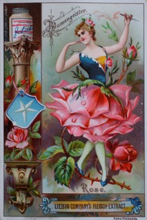 Photos Series women as flowers