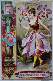 Photos Series women as flowers
