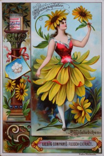 Photos Series women as flowers