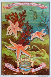 Series of images under the sea level