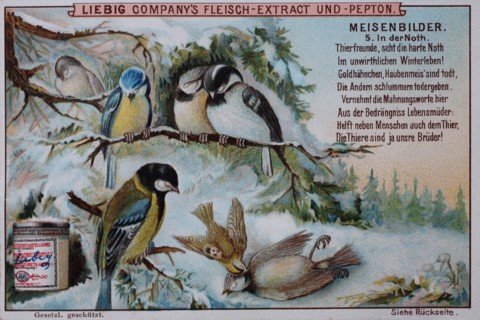 Series tit pictures