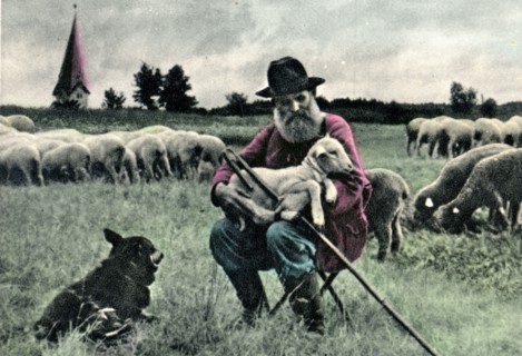 old postcard