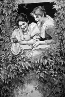 Two women in a umrankten from a bush windows look to the street