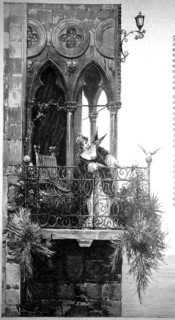 Pigeon greeting