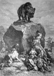 Bear was placed by the pack of hunting dogs and stands on a boulder