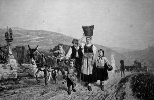 Grape harvest at the Mosel