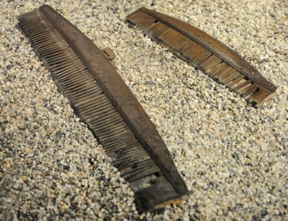 Two combs of horn