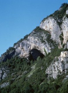 Cave of Niaux.
