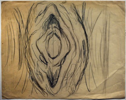 Sketch of a Vulva