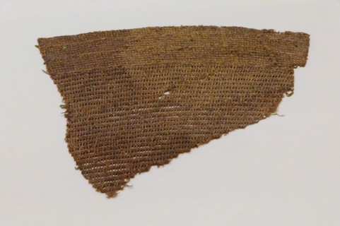 Fragment of esparto fabric