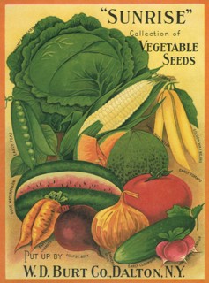 Vegetables
