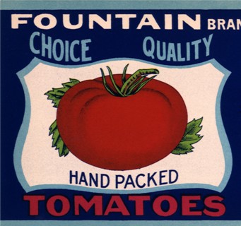 Tomato