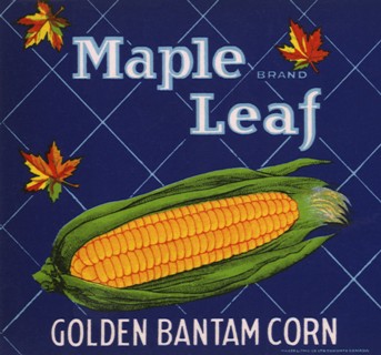 Corn on the Cob