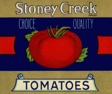 Tomato
