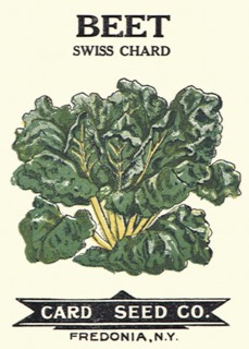 Beet Seed Packet