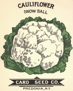 Cauliflower Seed Packet