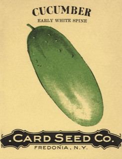 Cucumber Seed Packet