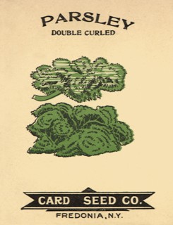 Parsley Seed Packet