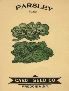 Parsley Seed Packet