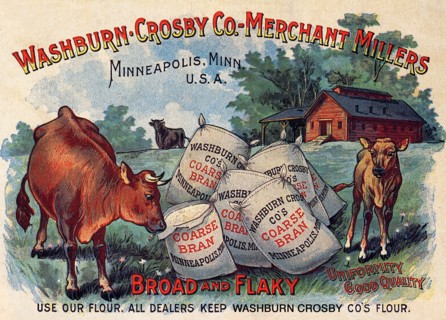 Cows Raid Grain Sacks
