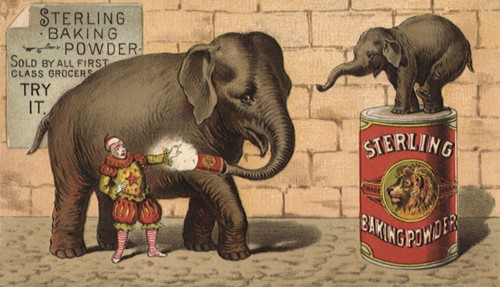 Elephant and Baby