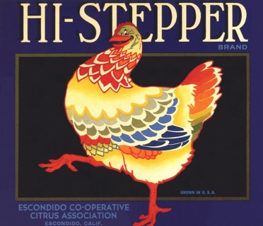 Hi-Stepping Chicken