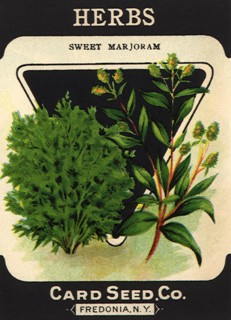Herbs Seed Packet