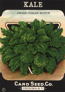 Kale Seed Packet