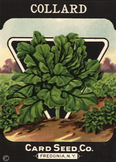 Collard Seed Packet