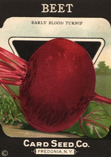 Beet Seed Packet