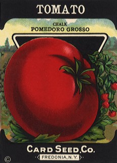 Tomato Seed Packet