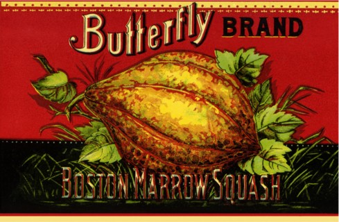 Squash Label