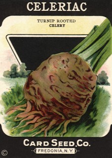 Celeriac