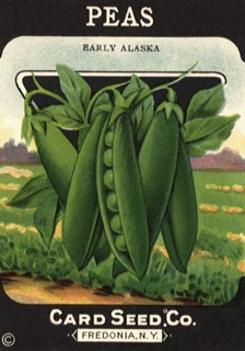 Peas