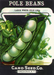Pole Beans