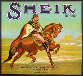 Sheik Brand