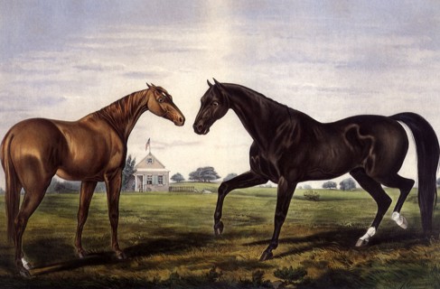 American Trotting Stud: Hambletonian & Widow McChree
