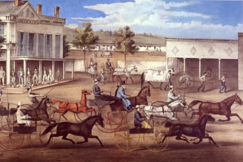 Going to the Trot